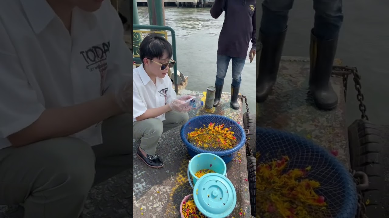 ปล่อยปลา ปล่อยใจ