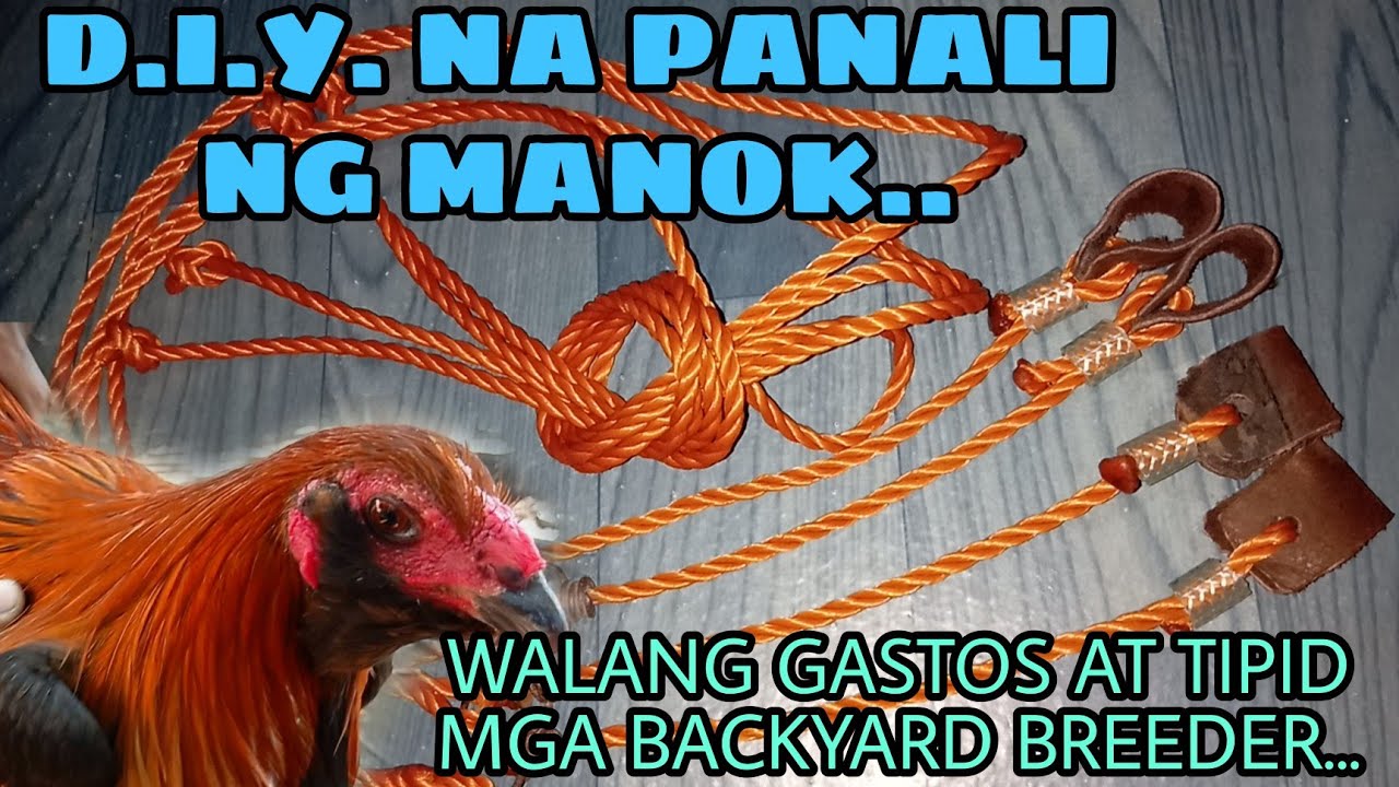 ANG AKING D.I.Y NA PANALI NG MANOK..MGA TAPON NA SANA MAY PAKINABANG PA😱 PARA PARAAN LANG.