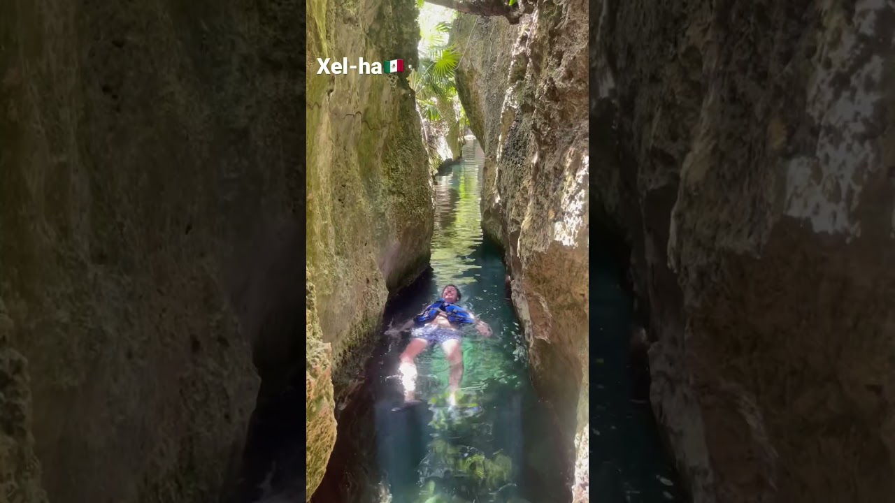 Xel-H&aacute; adventure park 🇲🇽 #shorts #xelha #travel #mexico #travel