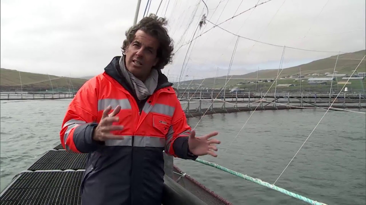 A produção de salmão nas Ilhas Faroe
