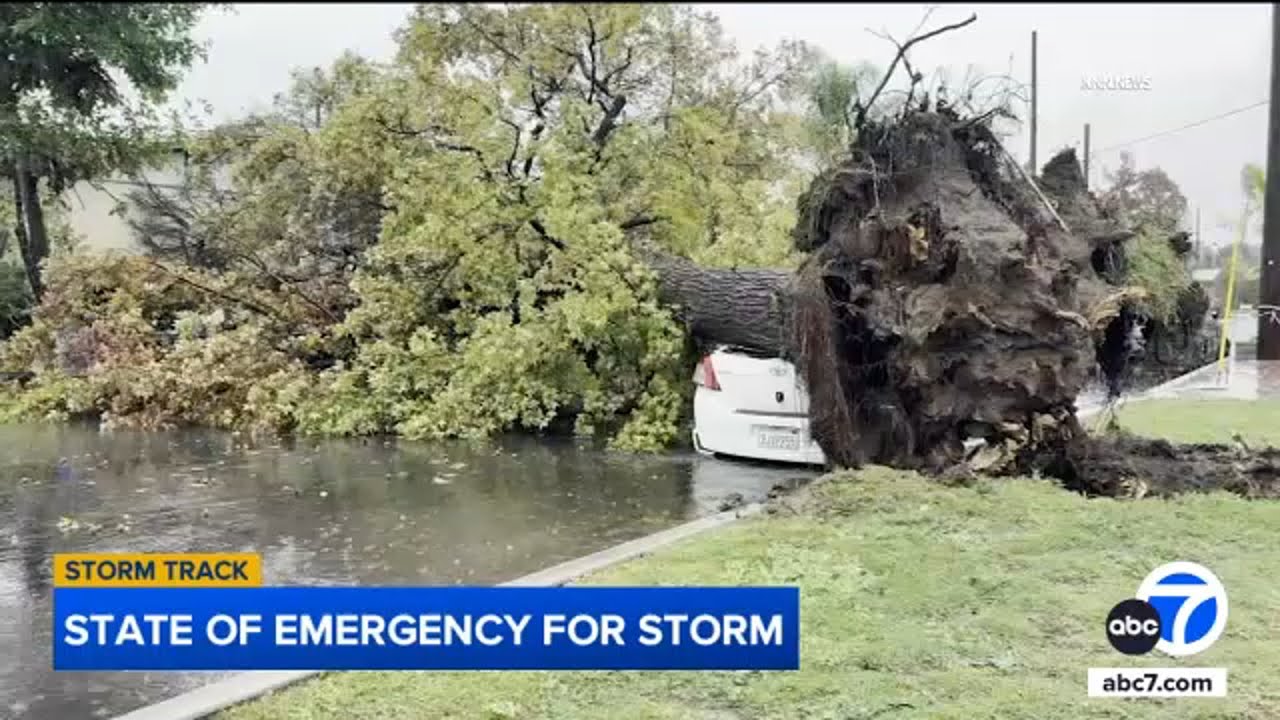 SoCal storm: Newsom declares state of emergency for multiple counties