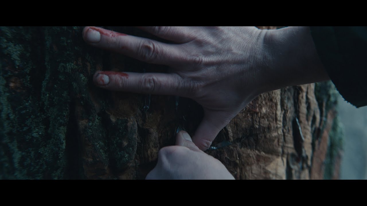 ''Adaptation'' (dir. Bartosz Kruhlik)