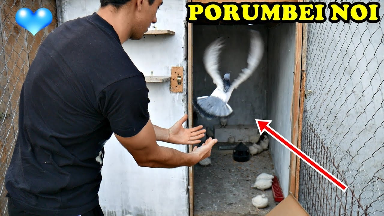 NU POT SĂ CRED CÂȚI AM PRIMIT..