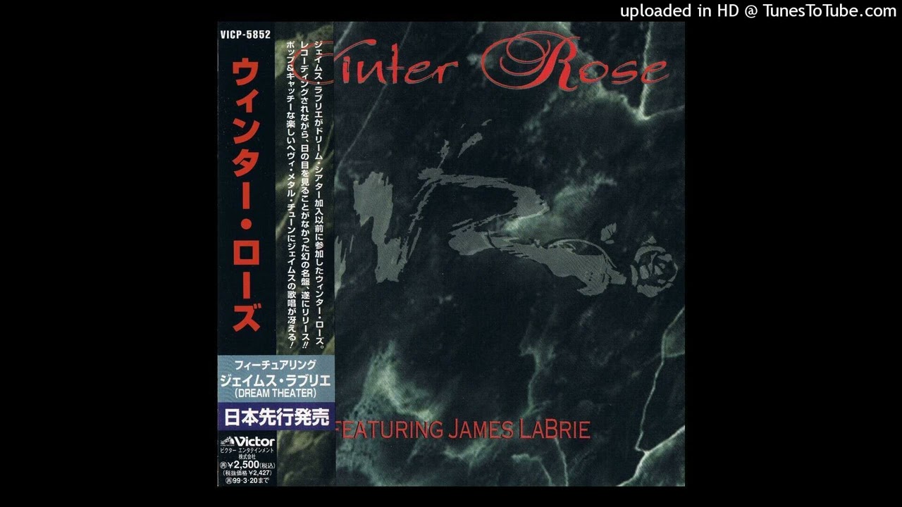 Winter Rose - I'll Never Fall In Love Again