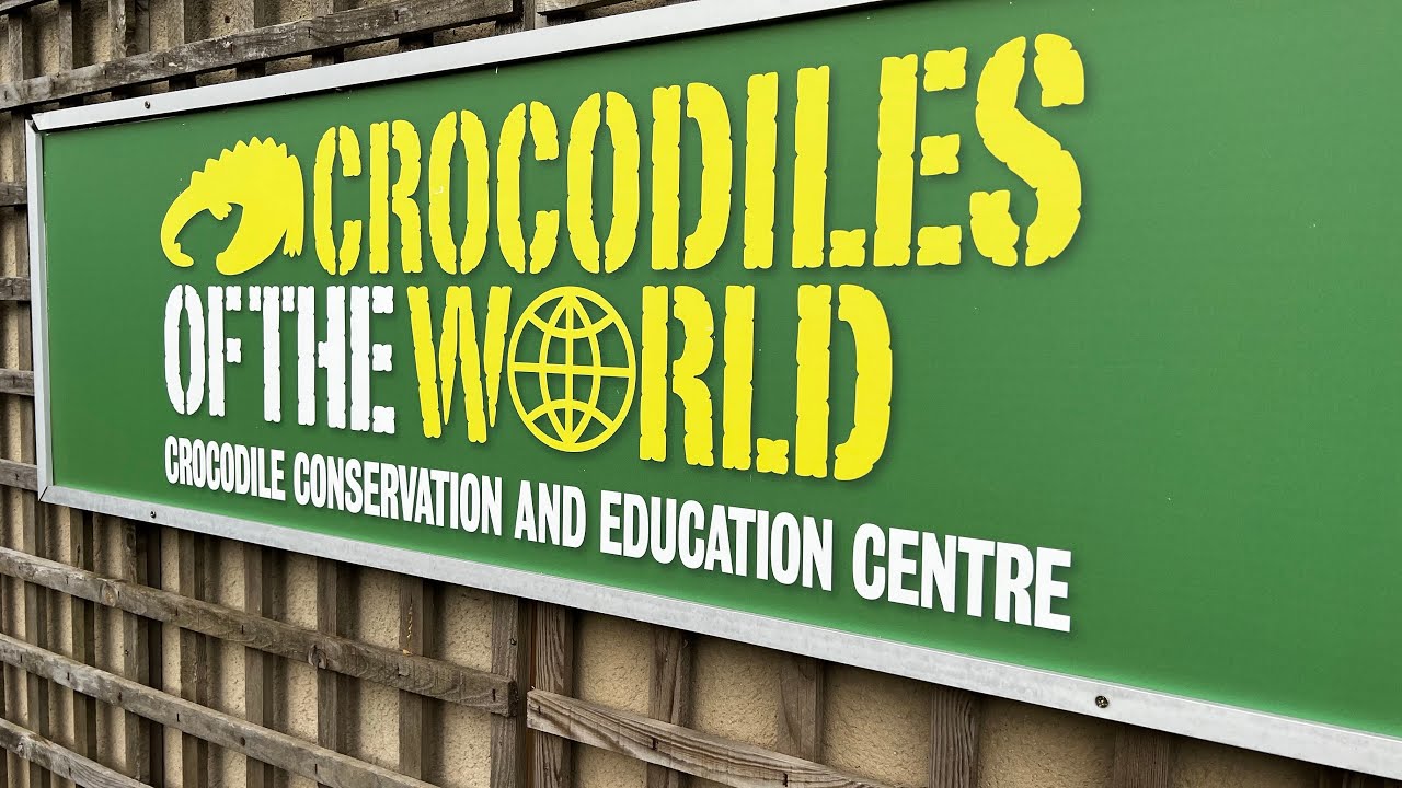 Day at crocodiles of the world zoo