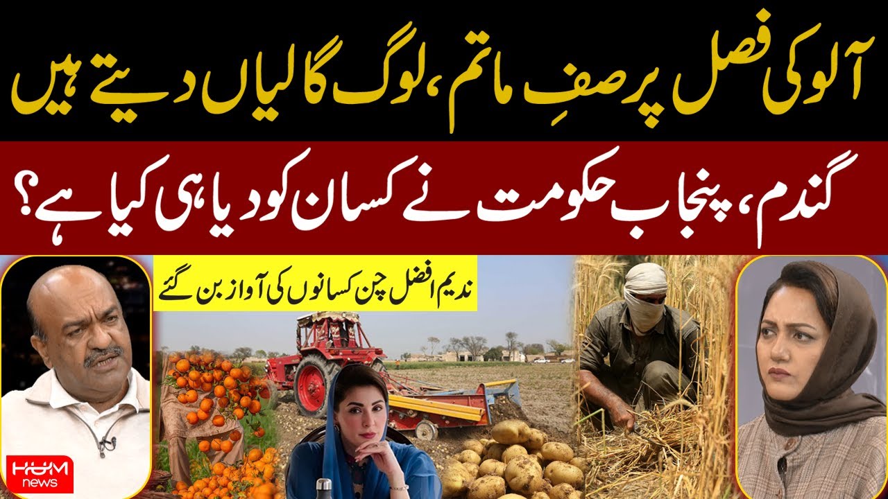 Punjab Farmers in Crisis: Potato Market Collapse, Govt Ignored Them | Nadeem Afzal Chan Speaks Out
