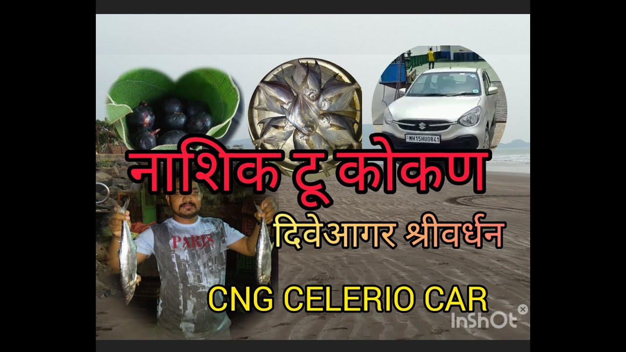 nashik to kokan via pune mulashi dam n tamhani ghat road CNG CELERIO NEW CAR DRIVE 900 KM PRS DAILY