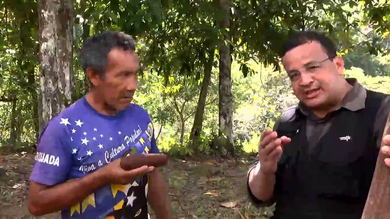 Amazônia Rural | Bastão de guaraná | Parte 02