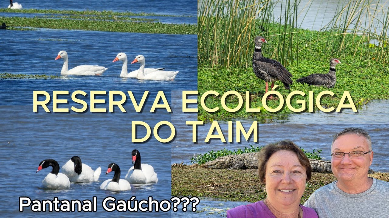 Descobrindo as BELEZAS DA RESERVA ECOLÓGICA DO TAIM