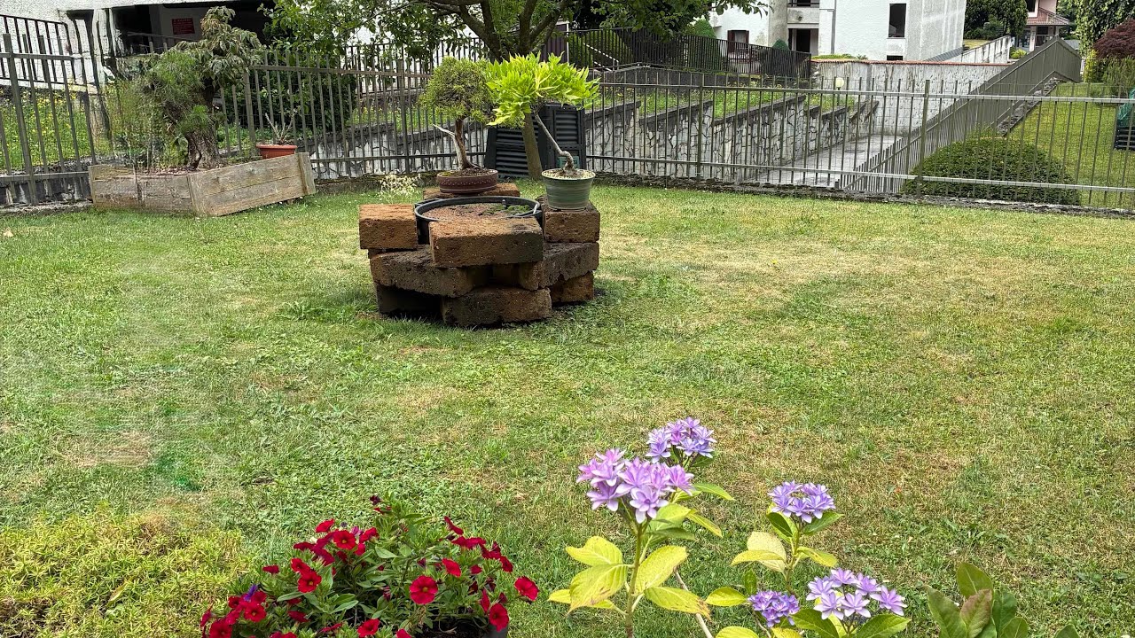 #2 novità in giardino 2025