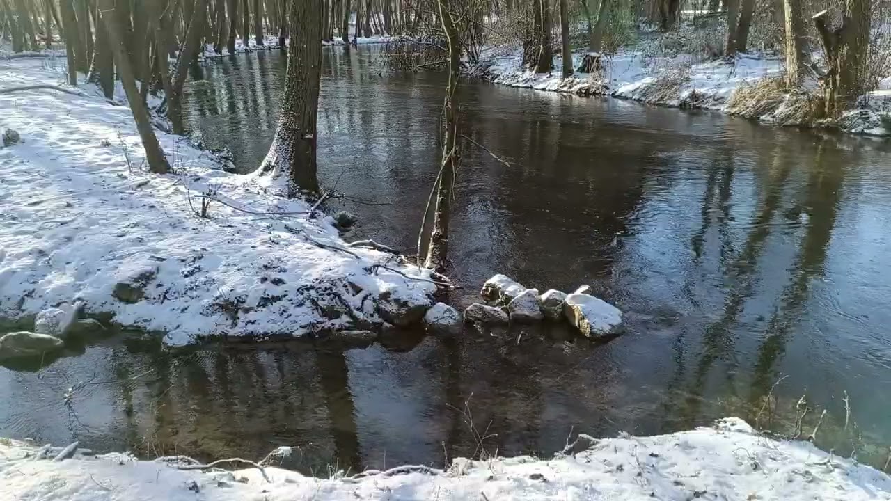 #ПрироданаЮтуб#NatureonYouTube#NaturalezaenYouTube#NaturesurYouTube#NaturezanoYouTube#AlamdiYouTube