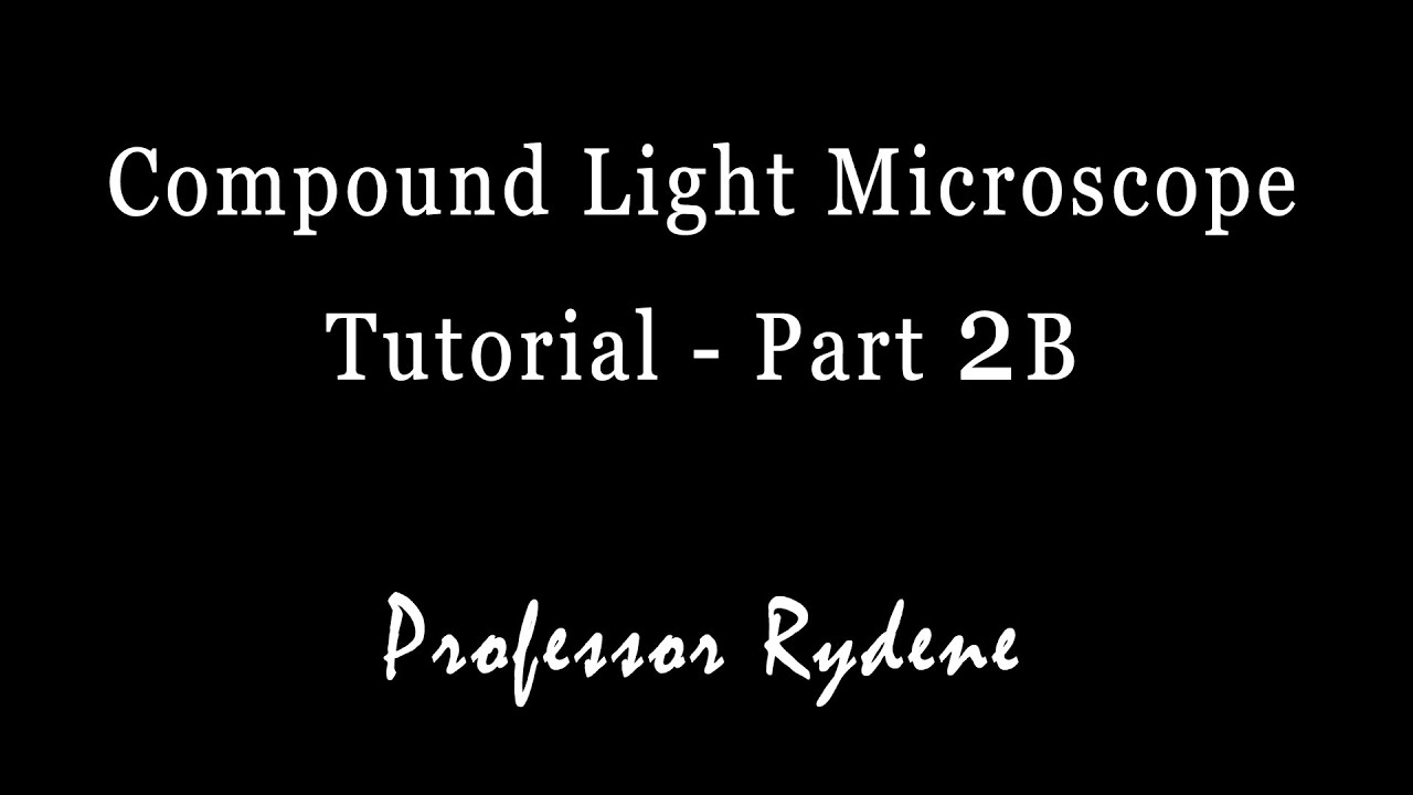 Compound Light Microscope Tutorial - Part 2B