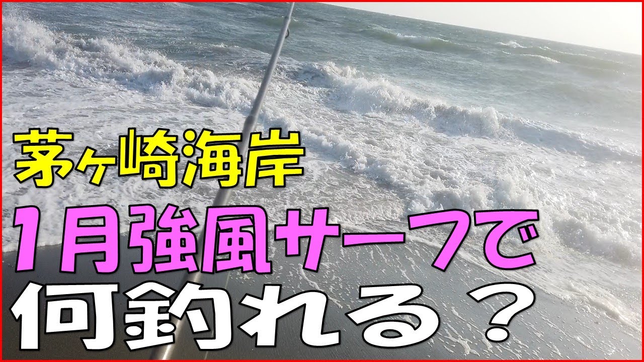 【茅ヶ崎海岸】１月強風サーフで何釣れる？