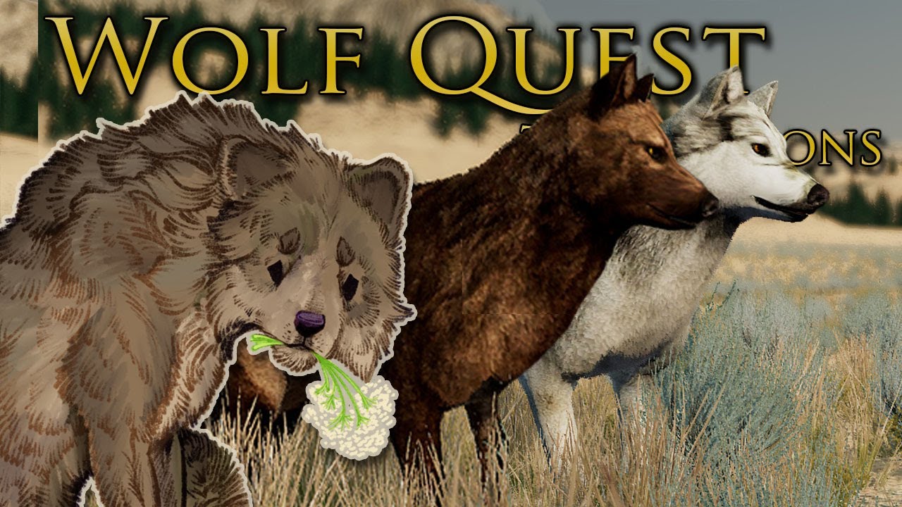 Seven Possible HEIRS to the Dawn Moon Wolf Pack?! 🐺 WOLF QUEST: TWIN MOONS • #69