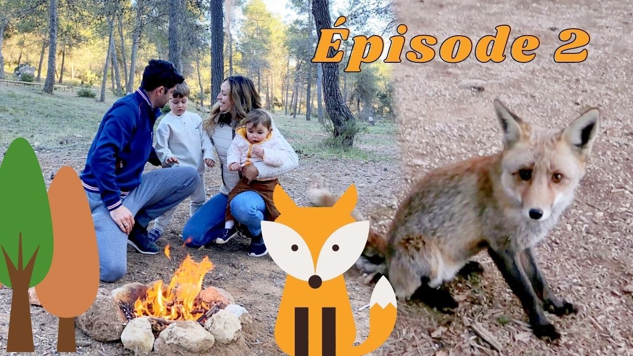 FEU EN FORÊT ET RENCONTRE AVEC UN RENARD