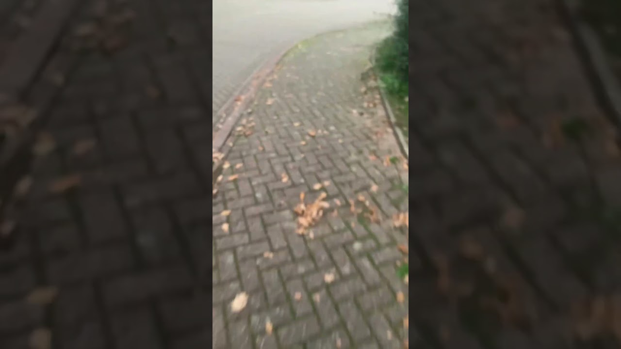 Why are these Algorithms SO BAD? #algorithm #viral #woman