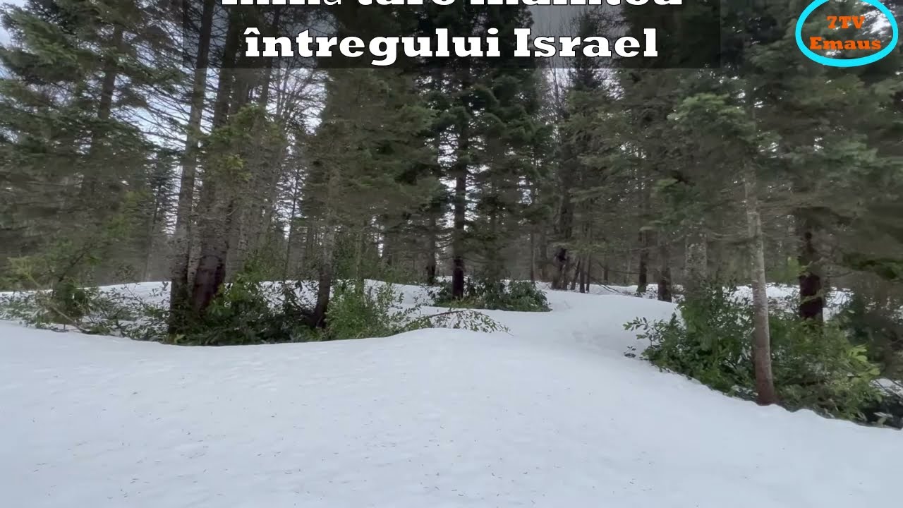 🔵🟡🔴 Deuteronomul Capitol 34 &ndash; Devarim דְּבָרִים