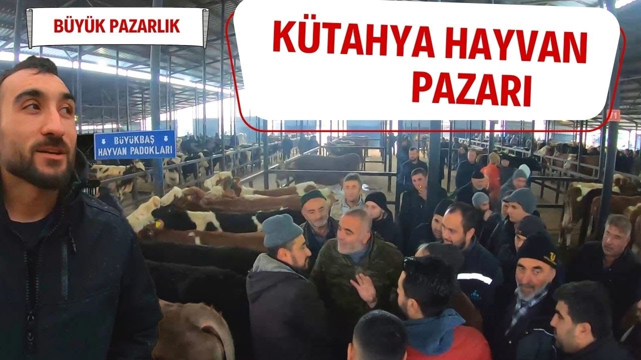 KÜTAHYA HAYVAN PAZARI - 09.012024 - BÜYÜK PAZARLIK