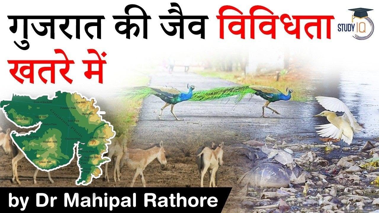 Biodiversity of Gujarat - Why unique wildlife populations of Gujarat need immediate attention #UPSC