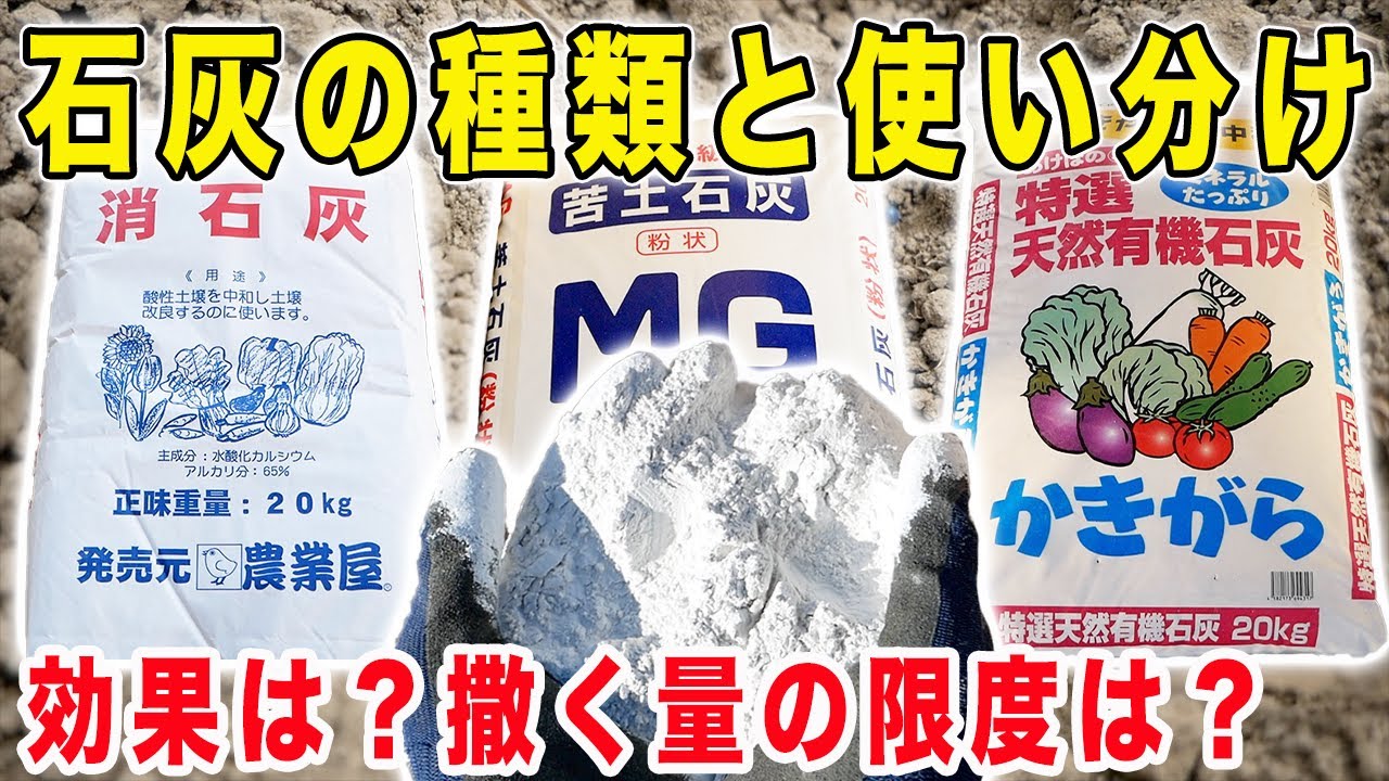 石灰の使い分け方【消石灰・苦土石灰・有機石灰】各石灰の特徴や必要な量について