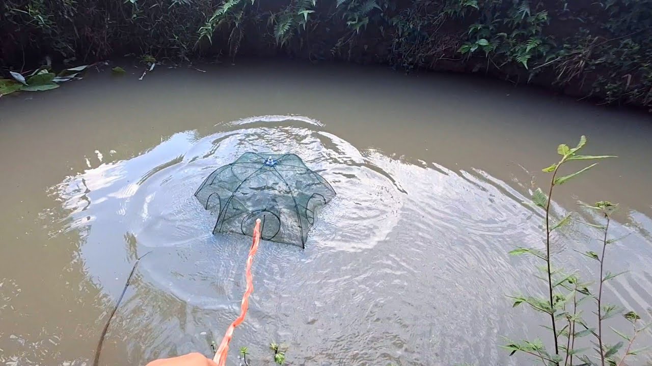 PASANG JEBAKAN UDANG DI SPOT SUNGAI KECIL PAKAI UMPAN PELET TAKARI !!