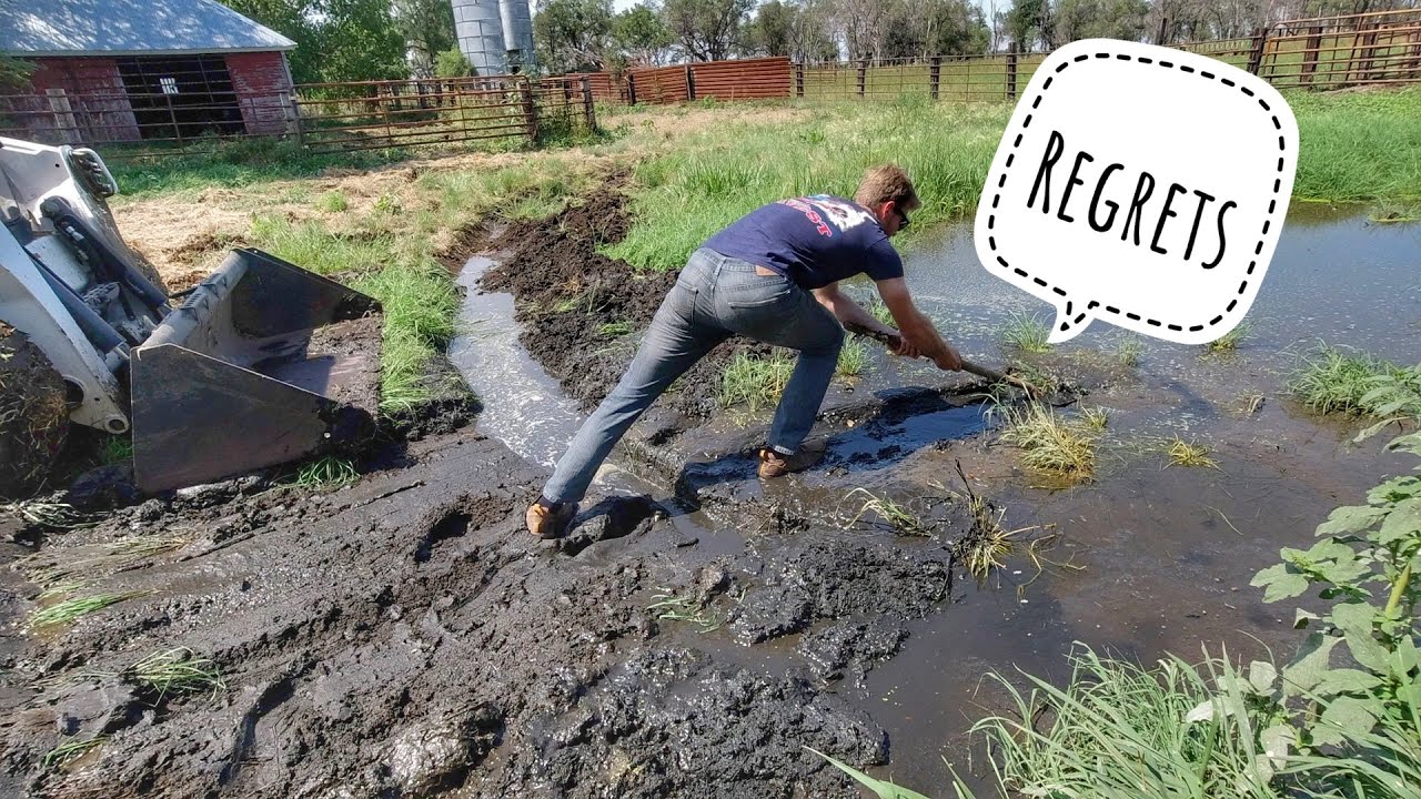The fun side of farming