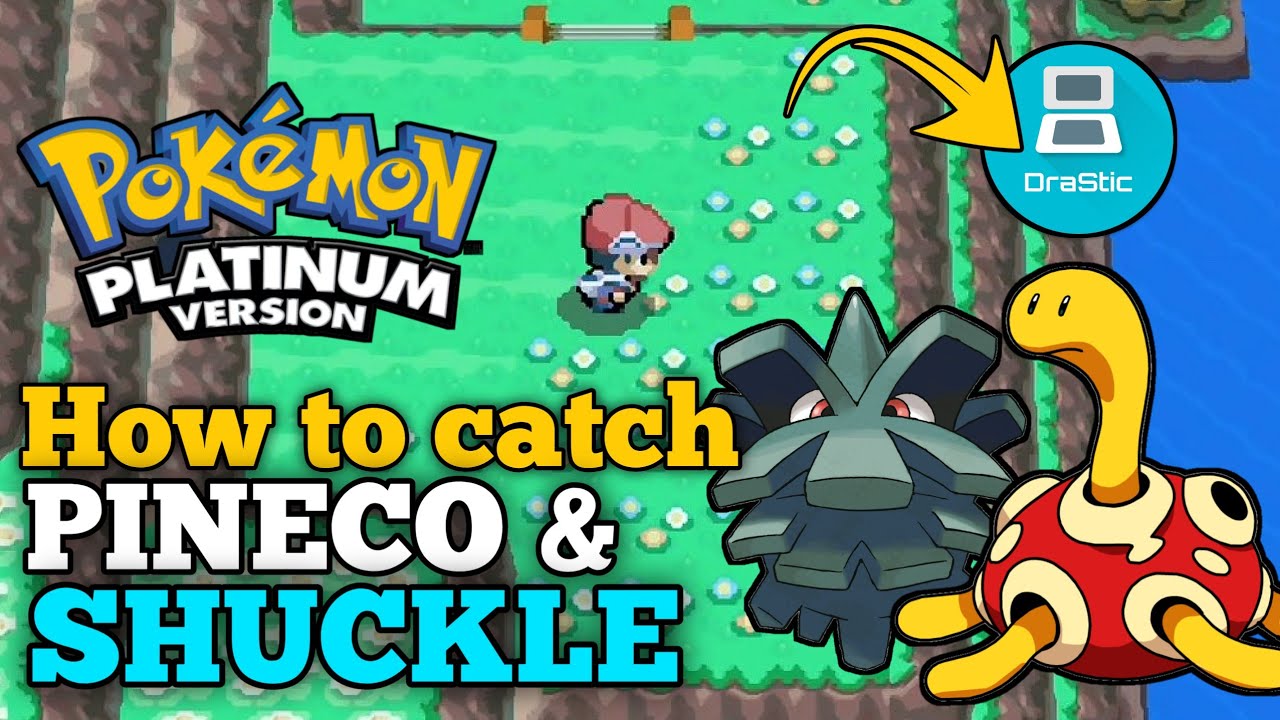 How to catch PINECO & SHUCKLE in Pokemon Platinum