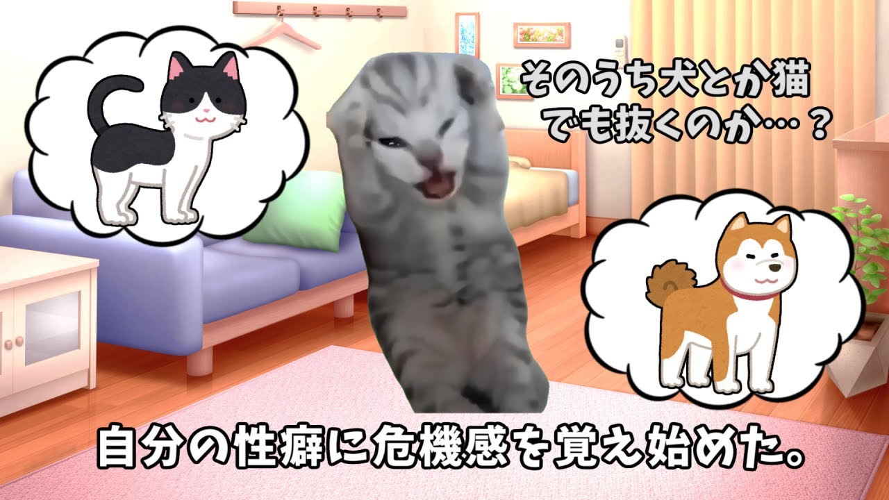 ポケモンで性癖がぶっ壊れた話　＃猫マニ　＃猫ミーム　#猫meme