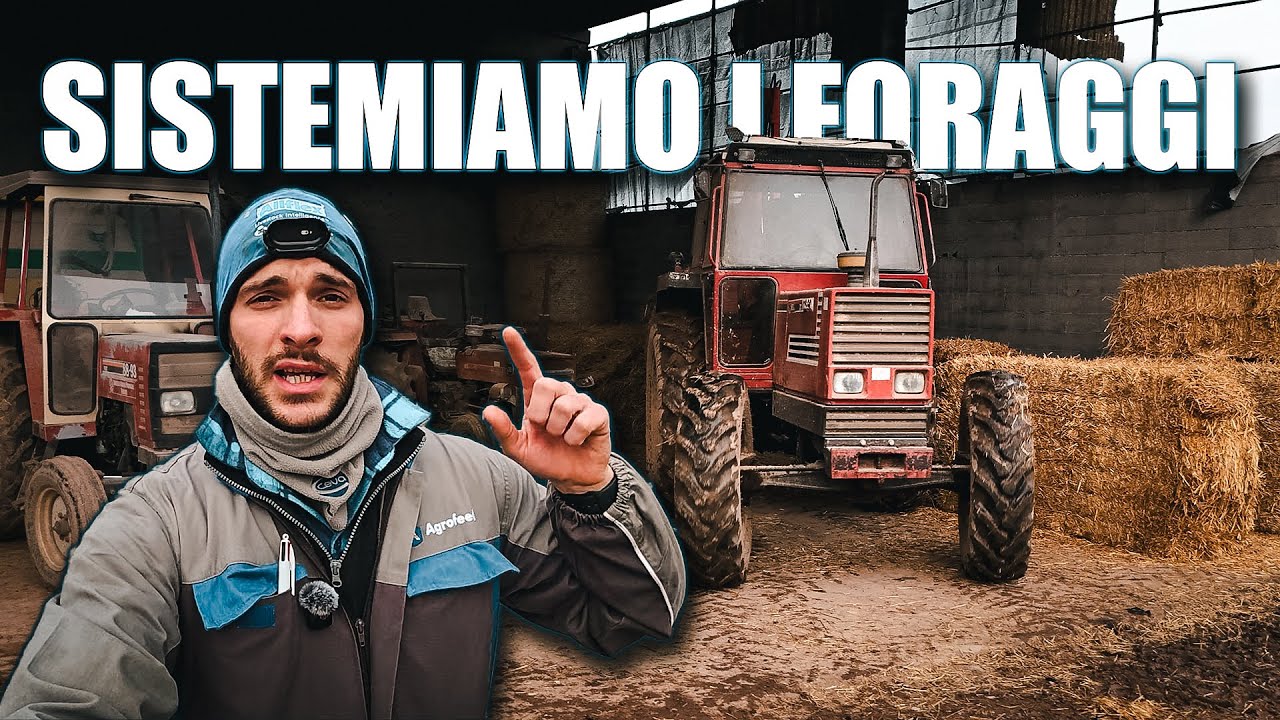 Sistemiamo un po’ di fieno e paglia con il FiatAgri 115 serie 90 e il “forcone”