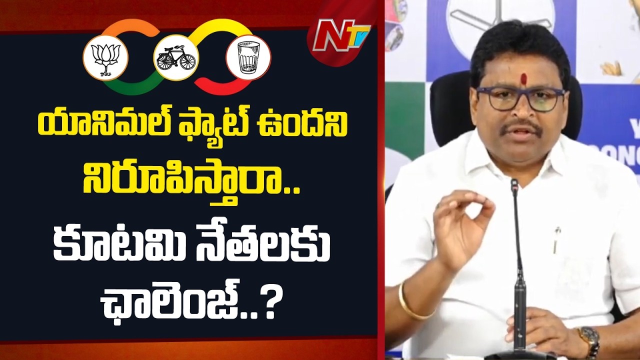 Former Minister Vellampalli Srinivas Challenges CM Chandrababu Govt To Prove Animal Fat In Ghee |NTV