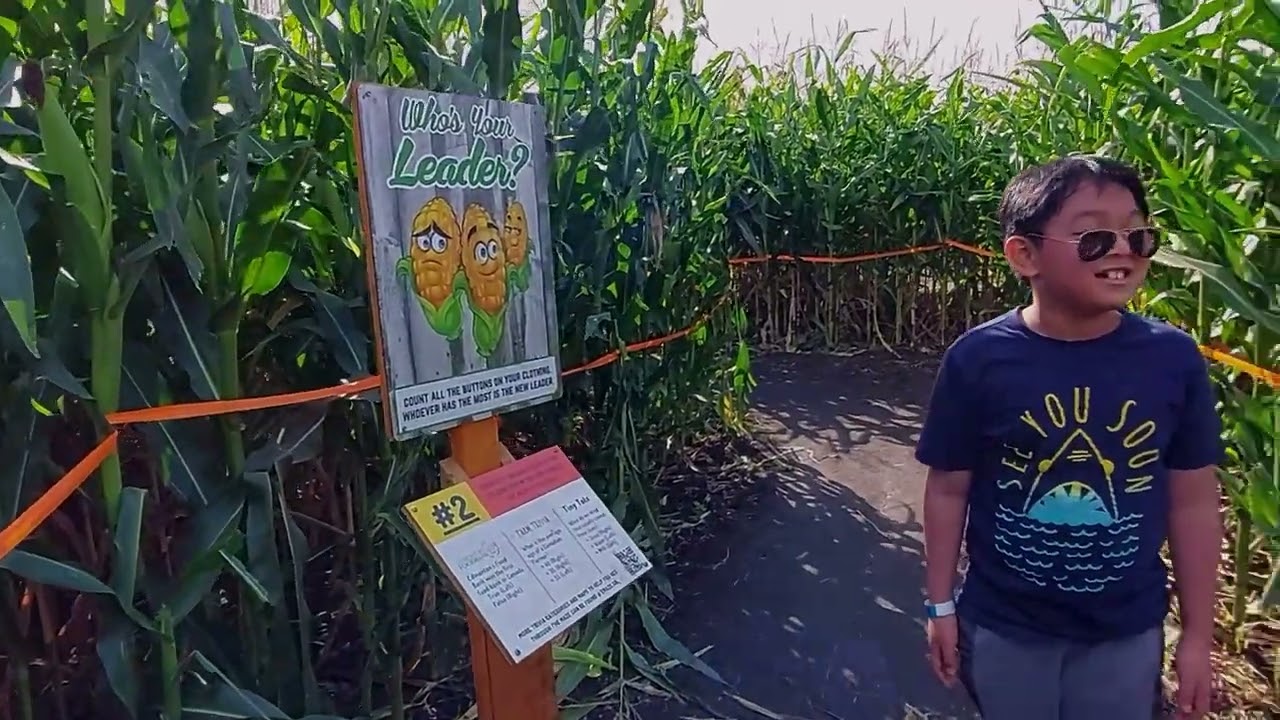 CORNMAZE