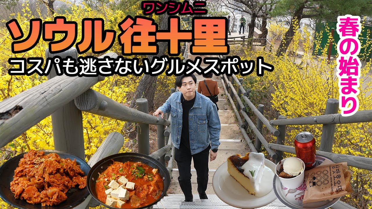 【ソウル🇰🇷ワンシムニ】私ならここに宿を取ります！そして大型スーパーご紹介‼