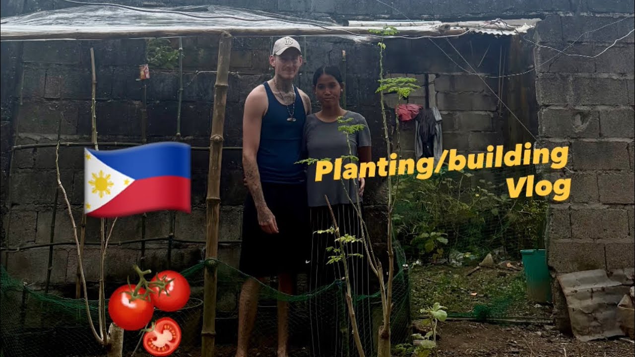 🇵🇭 Expat Philippines Daily Vlog Planting Tomatoes and Building a Small Structure 
