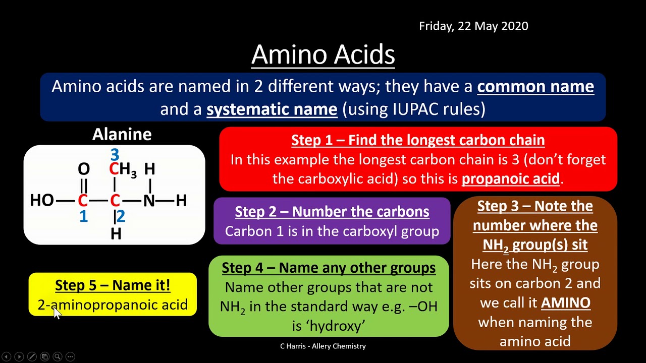 AQA 3.13 Amino Acids, Proteins and DNA REVISION