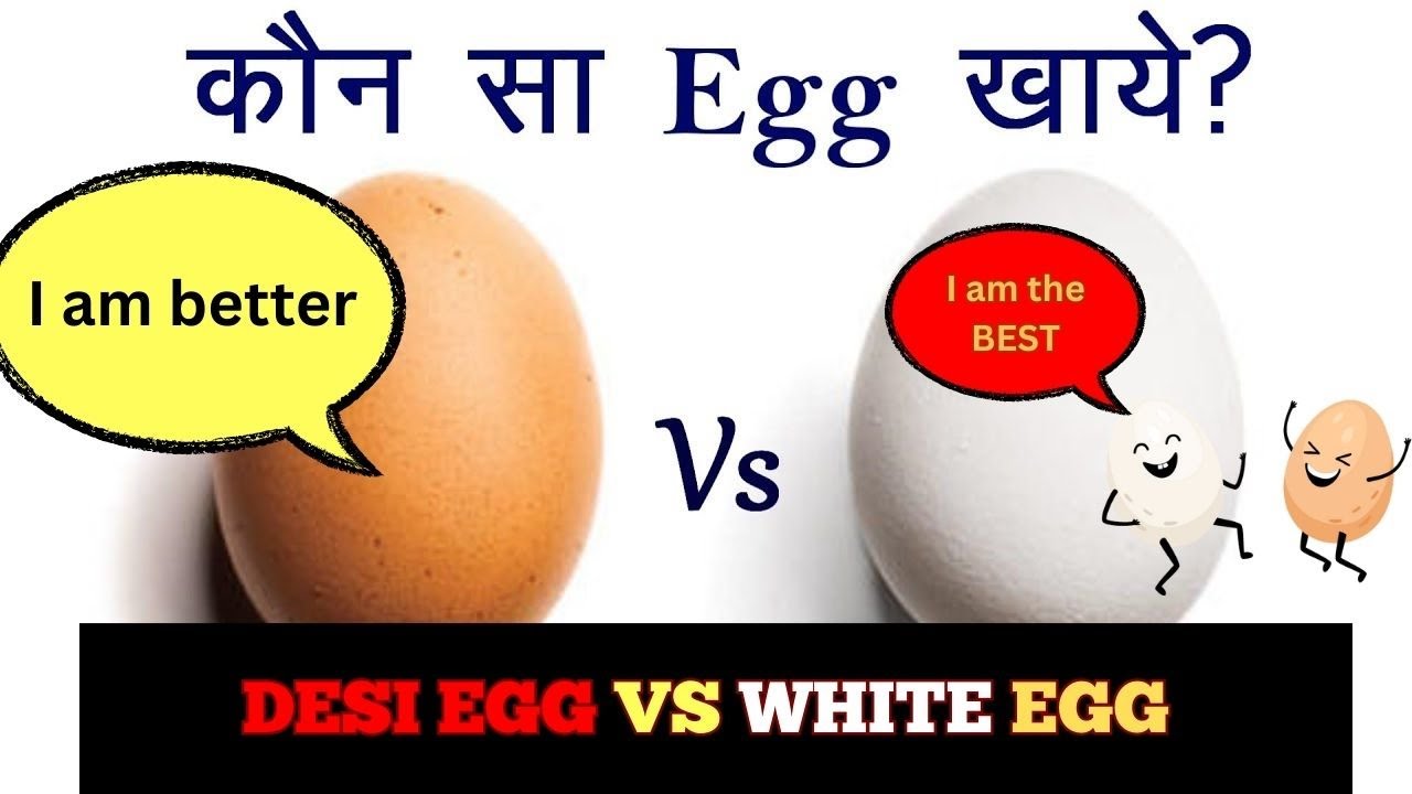 Desi eggs vs white eggs | broiler egg vs desi egg | difference between desi egg and normal egg