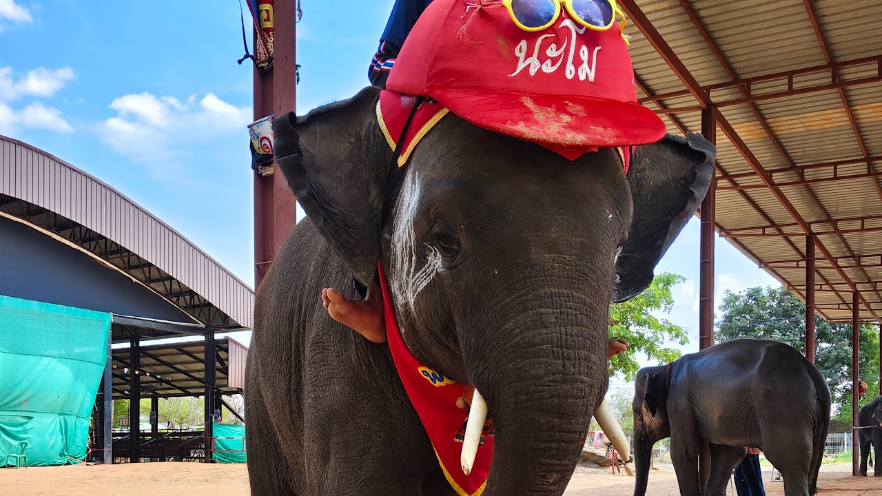 อาโมคนโก้