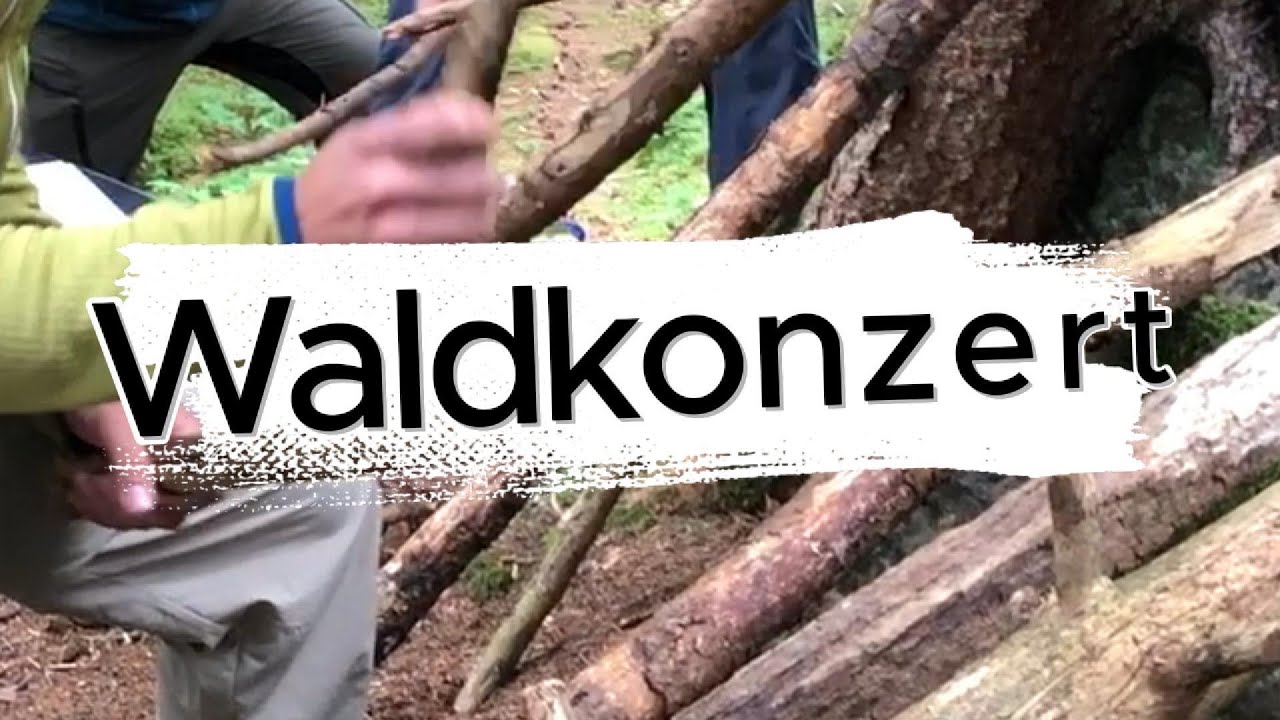 Waldkonzert