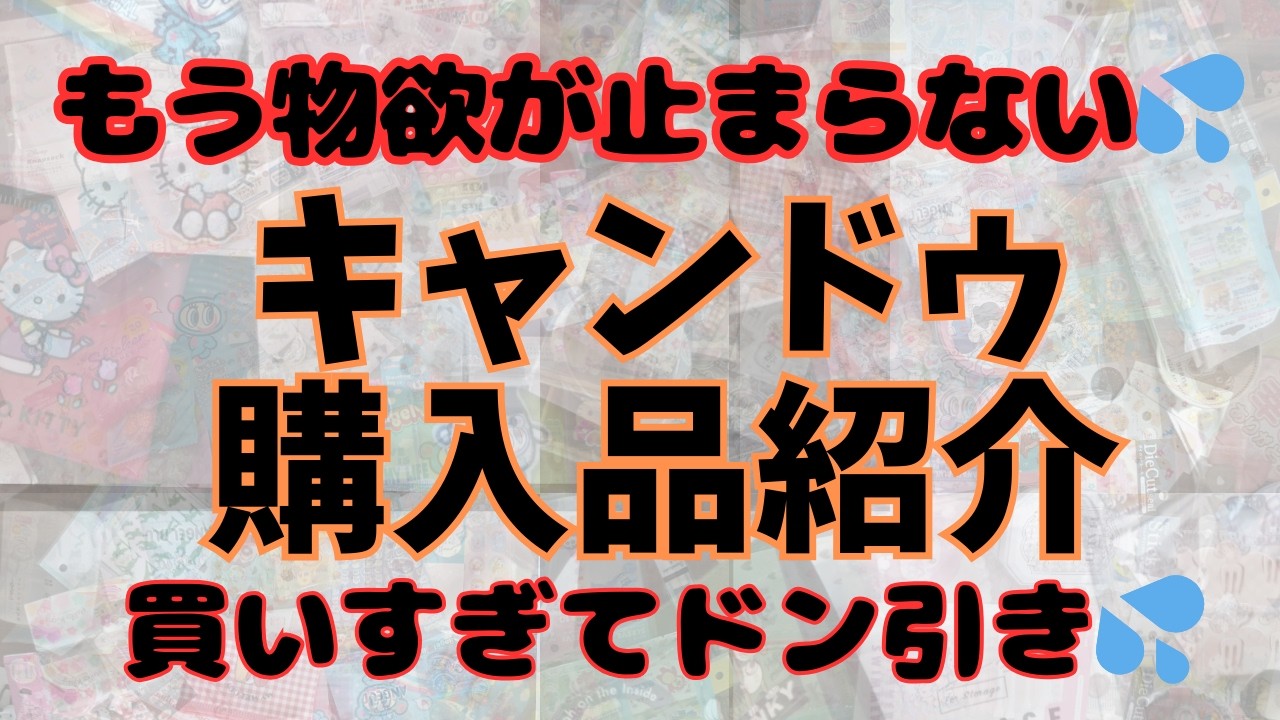 【100均】新商品が可愛すぎる❤キャンドゥ超大量購入品紹介❤久々の爆買いでストレス発散！！