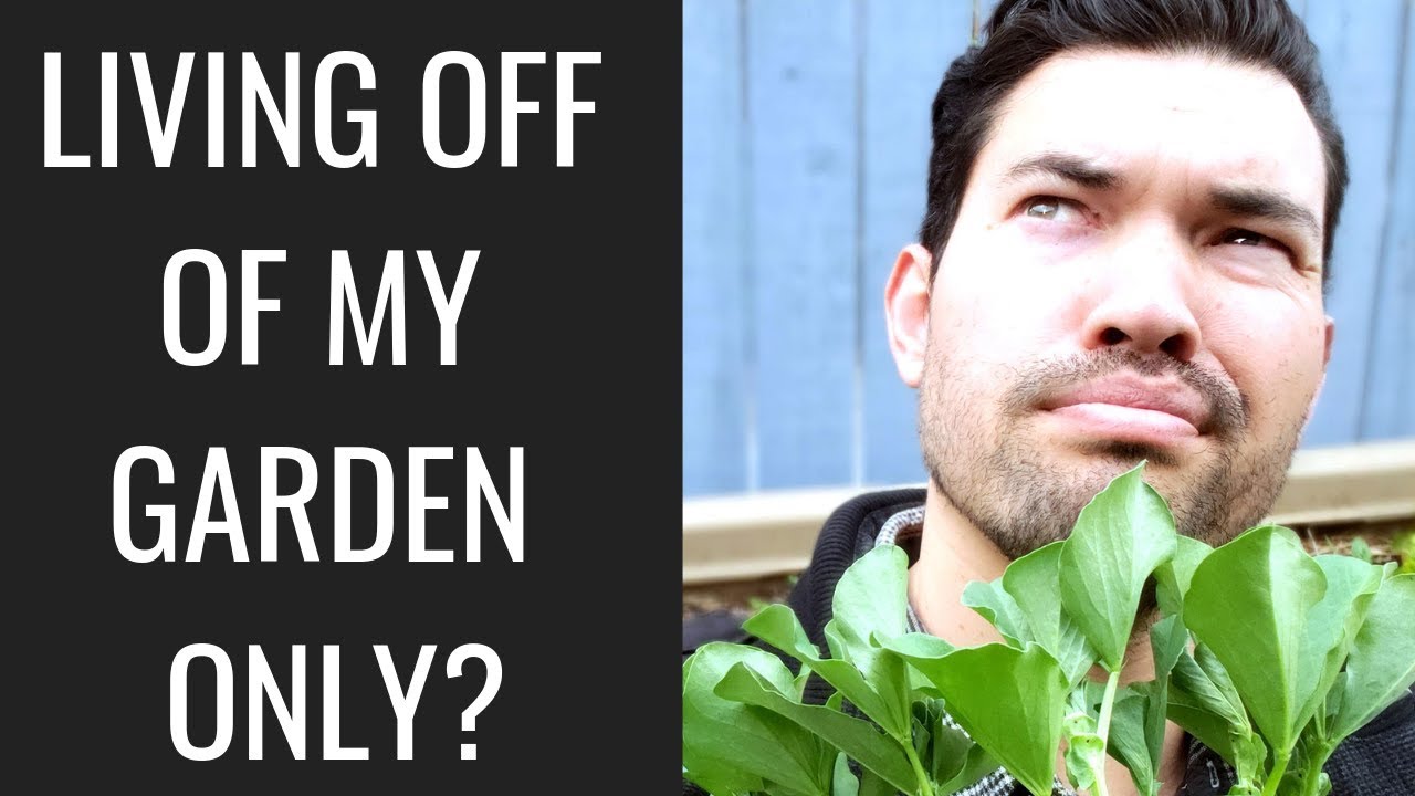 Surviving off of Gardening, Foraging, & Fishing for a Month: APOCALYPSE GROW CHALLENGE!