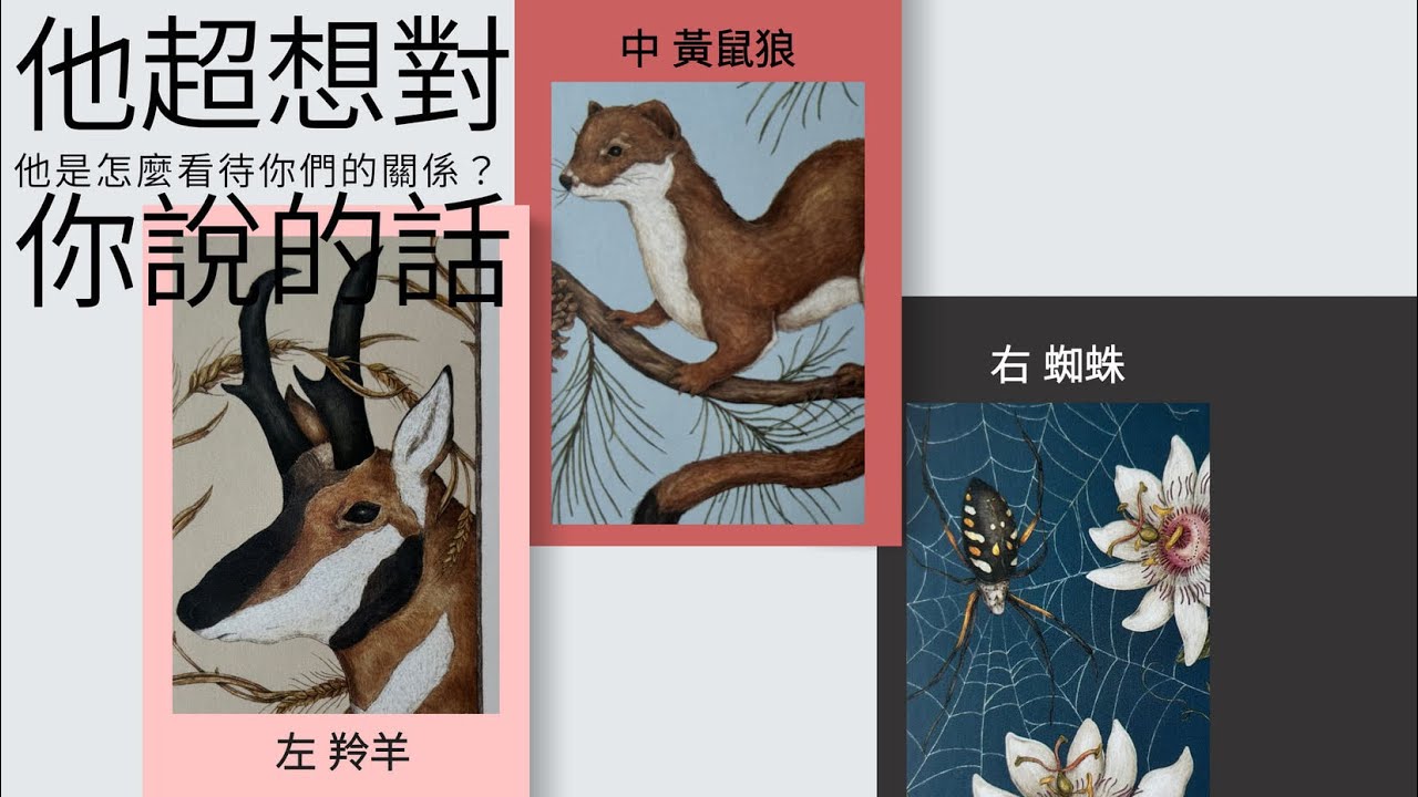 塔羅占卜🔮他超級想對你說的10句內心話！心中的他是怎麼看待你們之間的關係的？