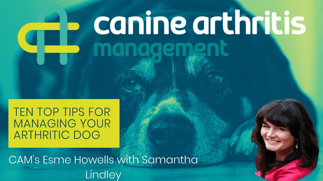 Ten Top Tips for managing your arthritic dog with Samantha Lindley