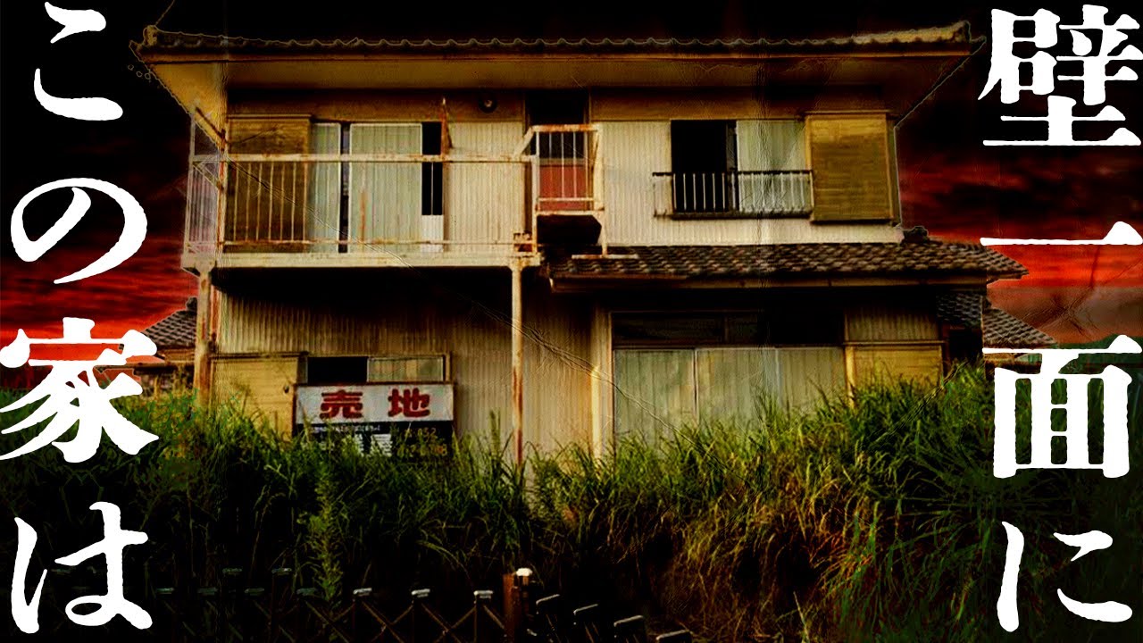 ＃86 【辛口】壁一面に、この家は。