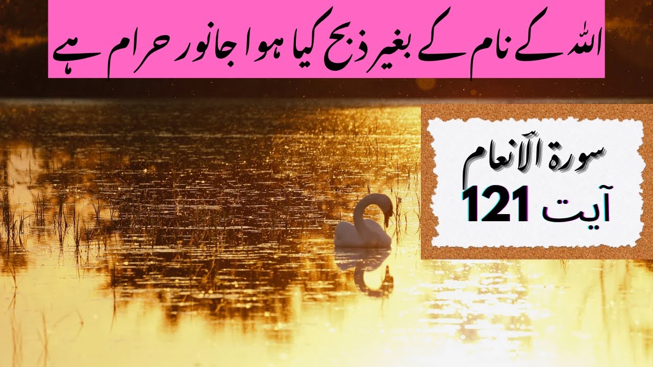 Surah Al An’am | سورۃ الؔانعام | آیت 121 |ترجمہ وتفسیر | Urdu translation and tafseer | Quran 
