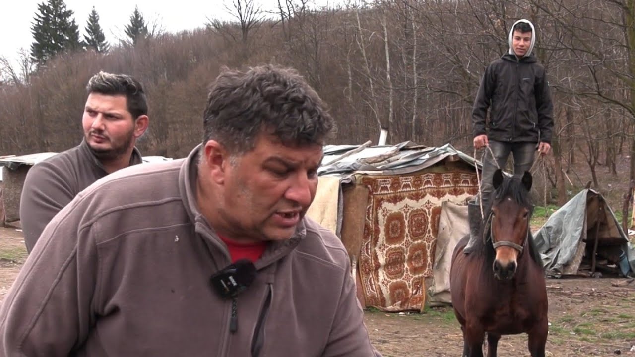 Bilalovac: ALJO I ROMI IZABRALI SVOG CERIBAŠU