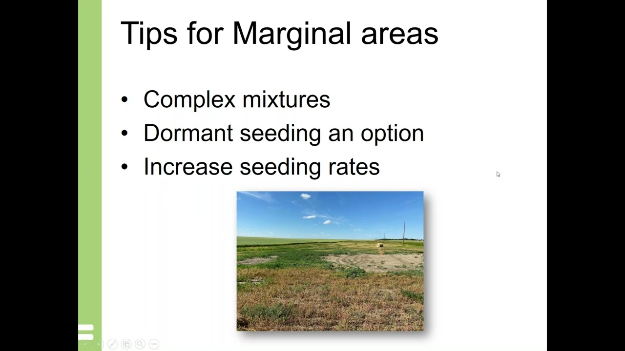 Ranch Management Forum 2021: The Basics of Perennial Forages