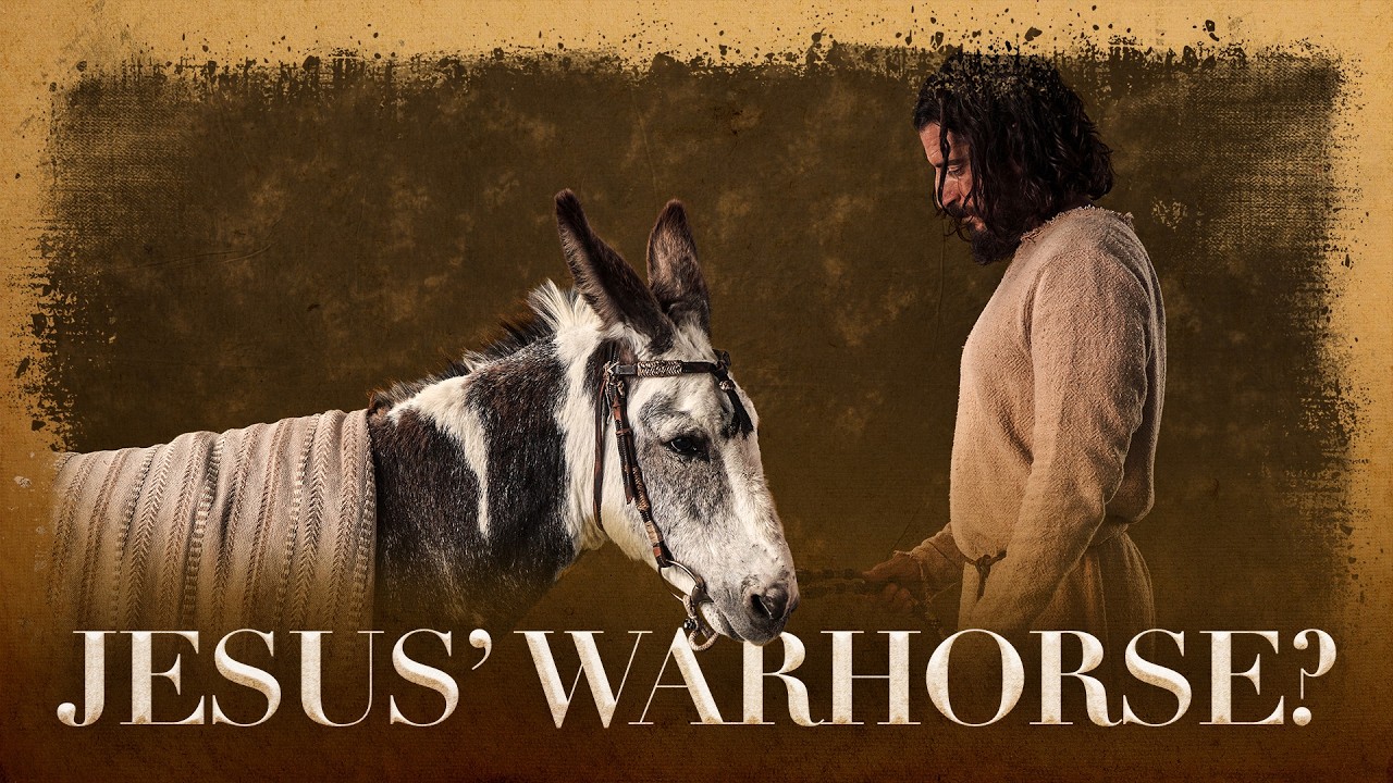 Why Did Jesus Ride a Donkey? | More to the Story