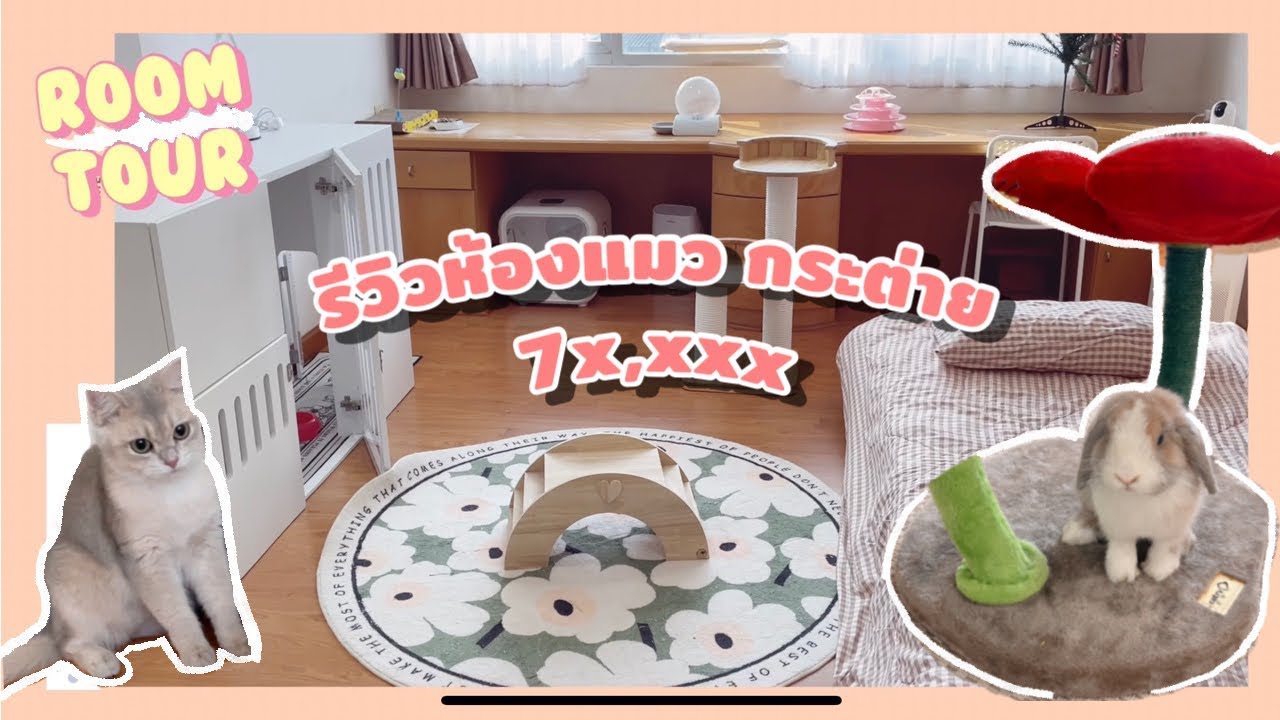 รีวิวห้องแมว ห้องกระต่าย 7x,xxx ! แทบไม่ใช่ห้องนอนแล้ววว