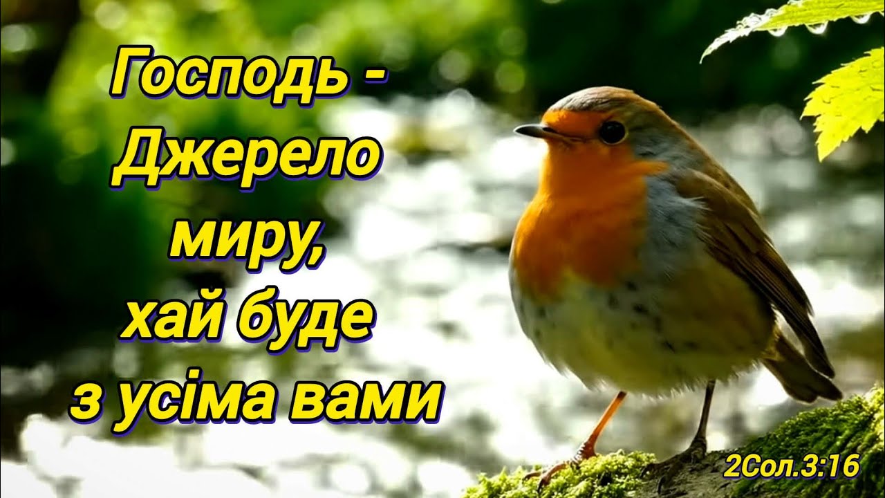 12.03.2026 Тема: 