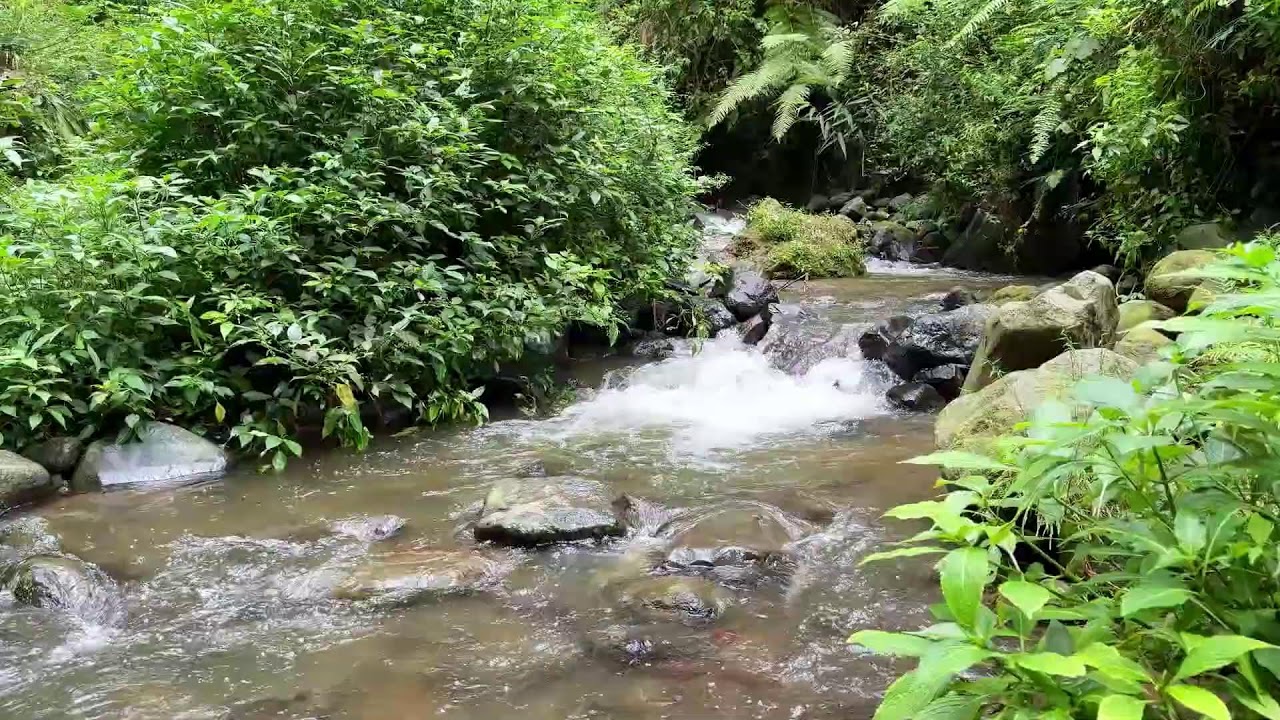Refresh your night with calming river sound around soft flowing water for full night sleep