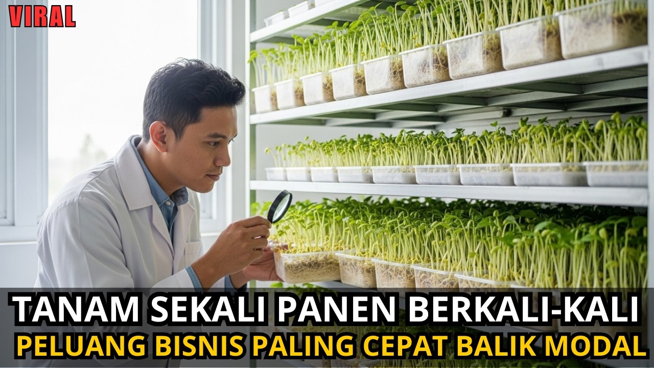 10 TANAMAN SUPER CEPAT MENGHASILKAN UANG, MODAL SEDIKIT UNTUNG BANYAK